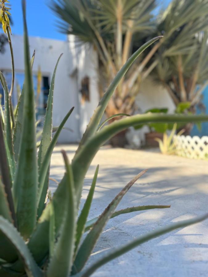 Dici Co-Living Housing Cabo San Lucas住宿加早餐旅馆 外观 照片