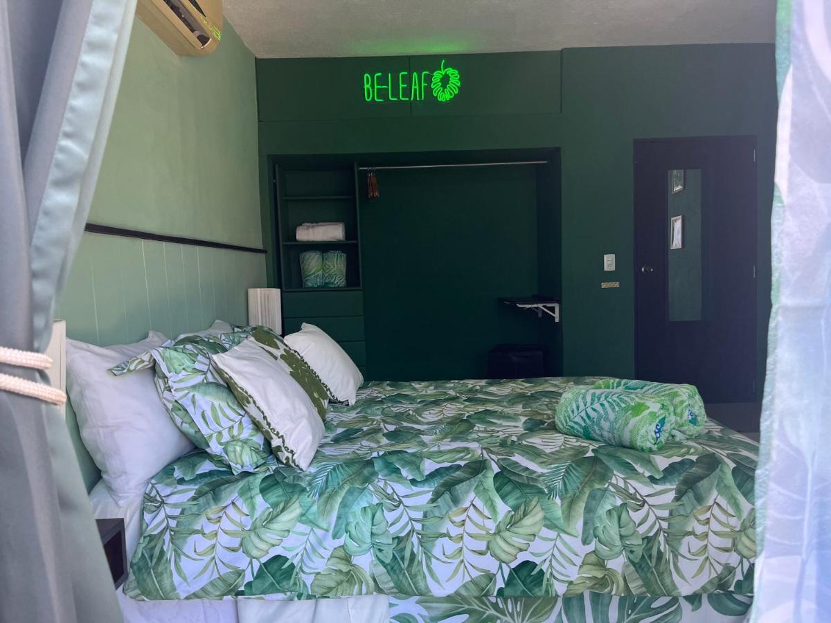 Dici Co-Living Housing Cabo San Lucas住宿加早餐旅馆 外观 照片