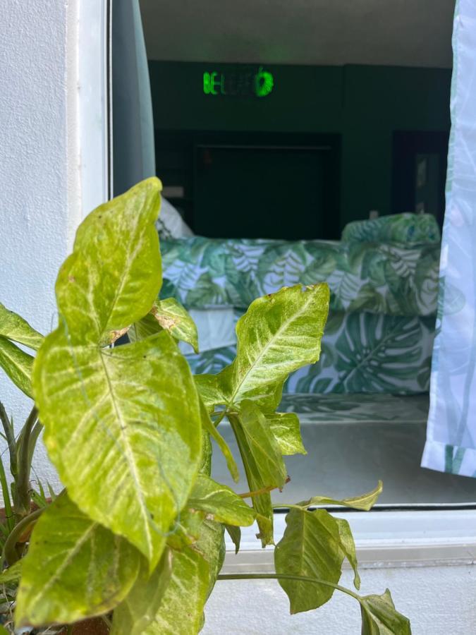 Dici Co-Living Housing Cabo San Lucas住宿加早餐旅馆 外观 照片
