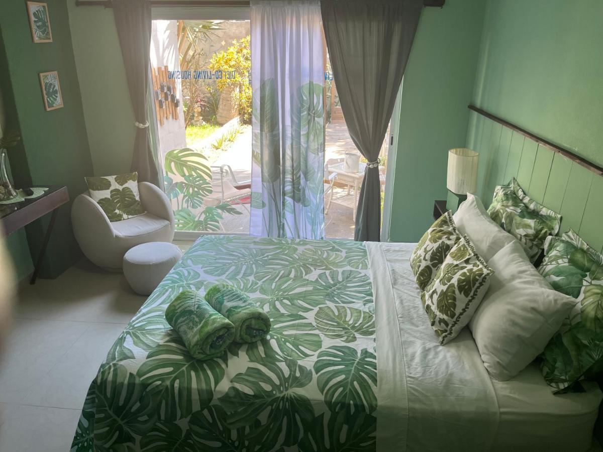 Dici Co-Living Housing Cabo San Lucas住宿加早餐旅馆 外观 照片