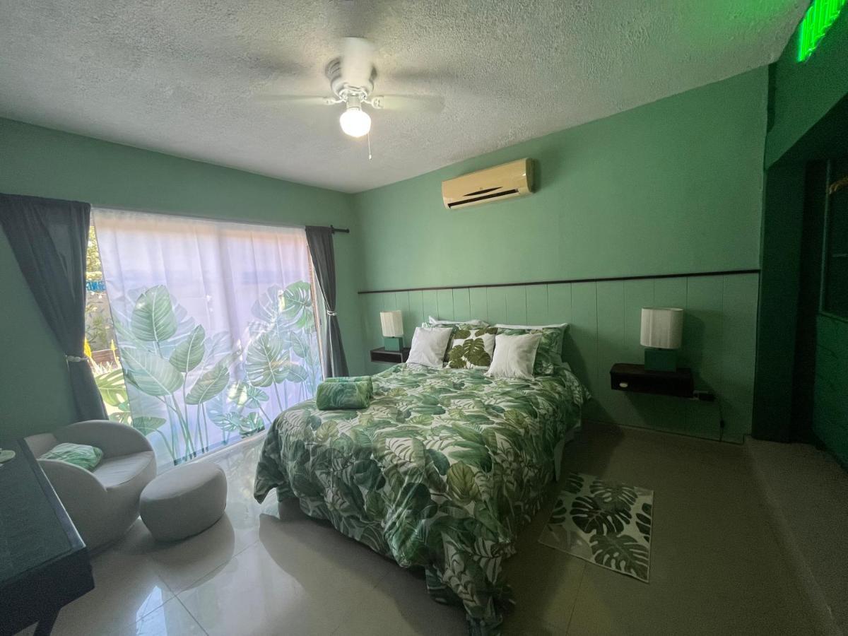 Dici Co-Living Housing Cabo San Lucas住宿加早餐旅馆 外观 照片