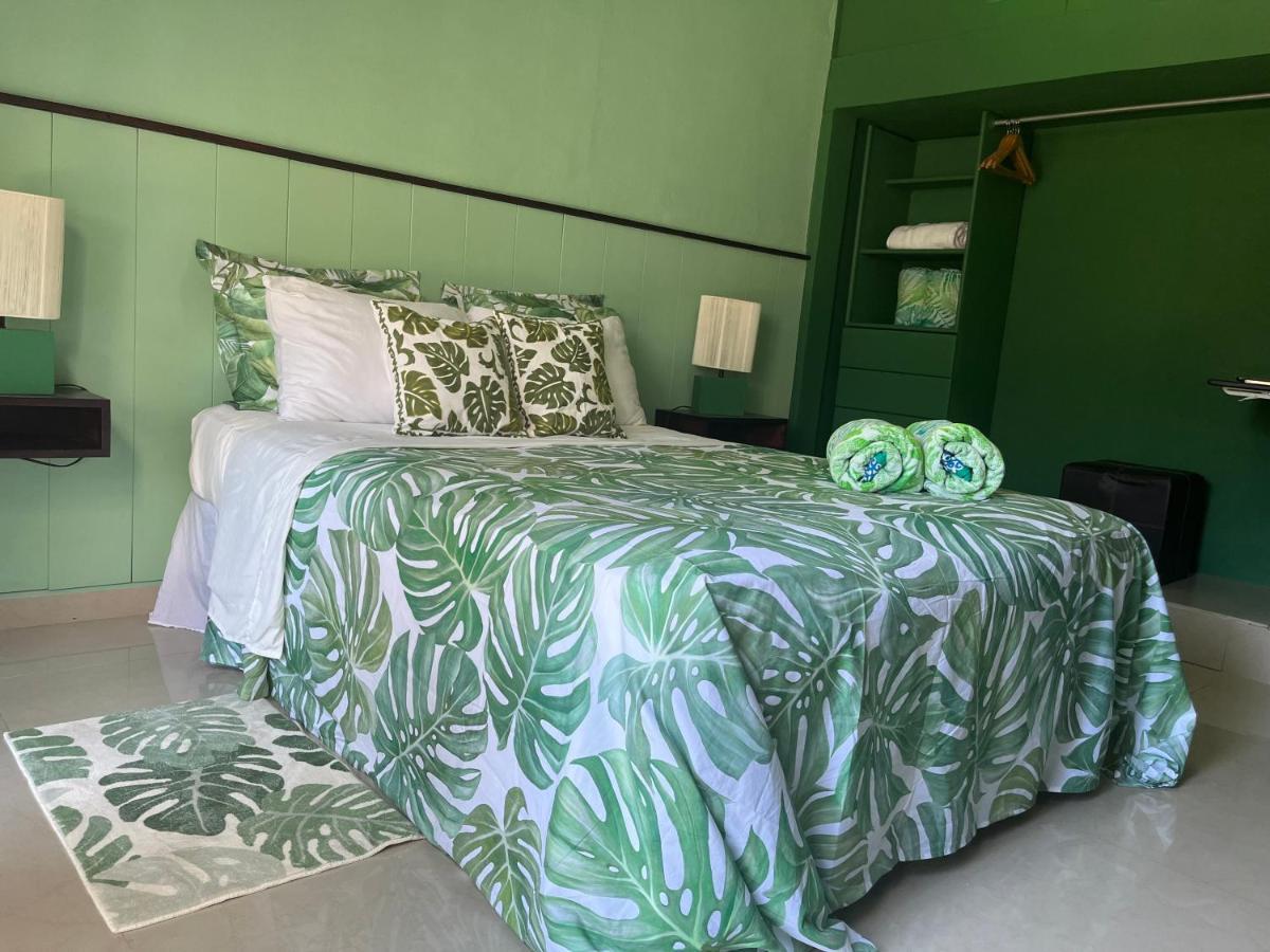 Dici Co-Living Housing Cabo San Lucas住宿加早餐旅馆 外观 照片