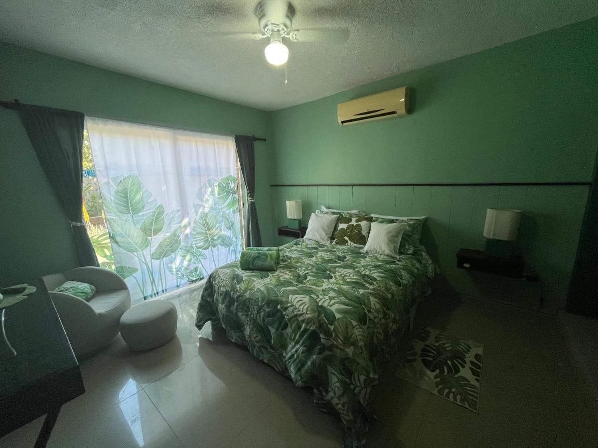 Dici Co-Living Housing Cabo San Lucas住宿加早餐旅馆 外观 照片