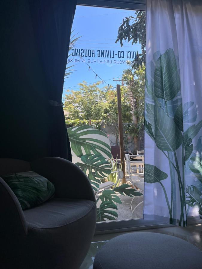 Dici Co-Living Housing Cabo San Lucas住宿加早餐旅馆 外观 照片