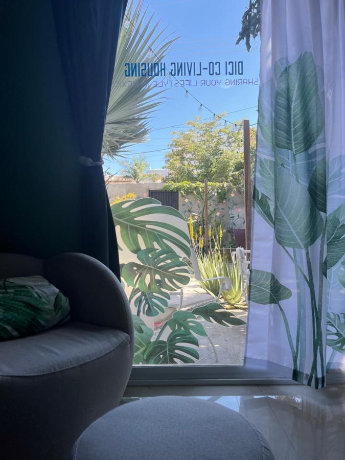 Dici Co-Living Housing Cabo San Lucas住宿加早餐旅馆 外观 照片